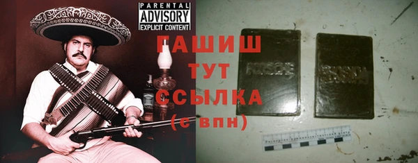 тгк Гусев