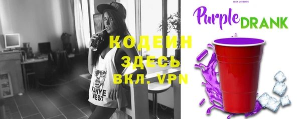 дурь Вяземский