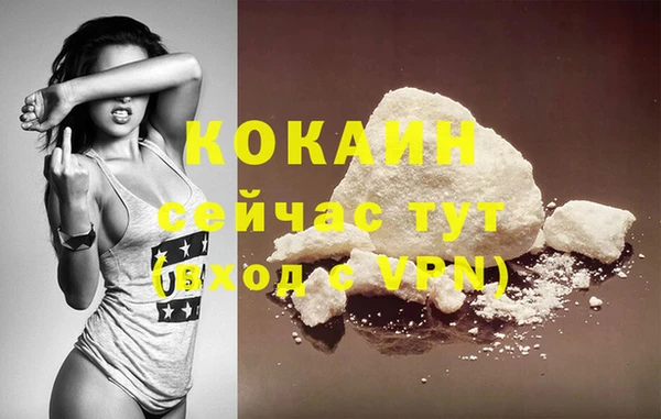 дурь Вяземский
