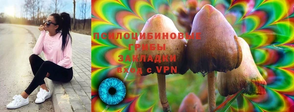 a pvp Вязьма