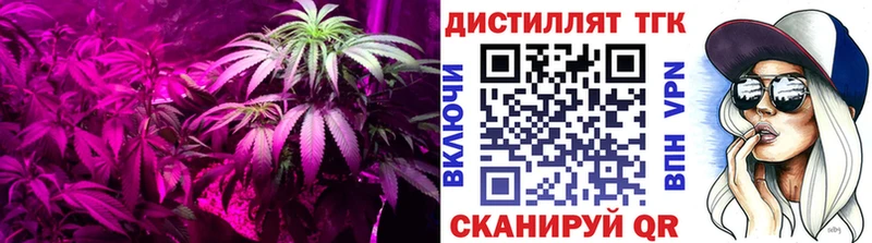 цена наркотик  Дагестанские Огни  omg ссылка  Дистиллят ТГК вейп с тгк 